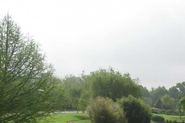 ARBORETUM DANS LE JARDIN PUBLIC